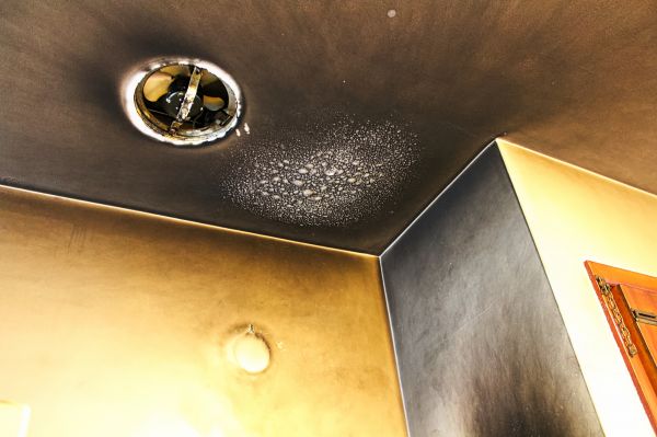 Fire Damage Cleanup in Palm Bay